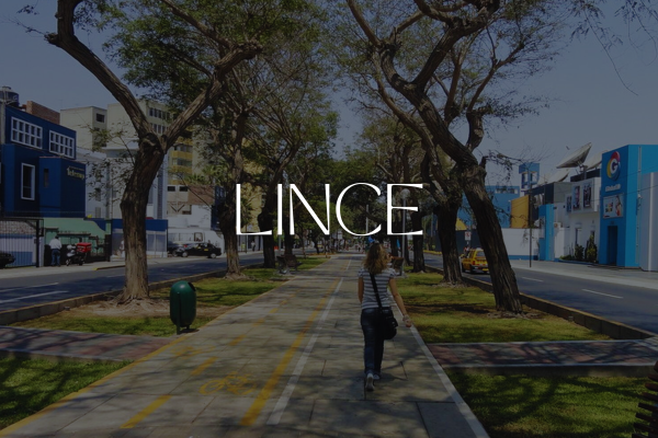 LINCE